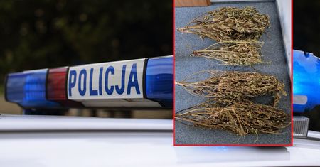 Zdjęcia z akcji policji hitem internetu. Ludzie kipią na potęgę
