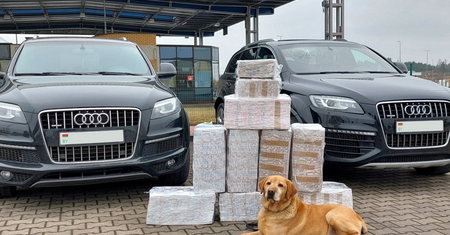 Zatrzymali audi z Białorusi. Labrador Odi miał nosa