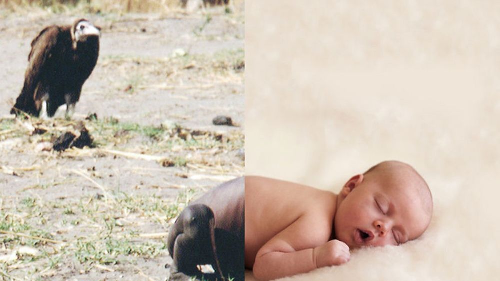 Dwa światy na jednej Ziemi. Ugur Allen komentuje rzeczywistość obrazem 1