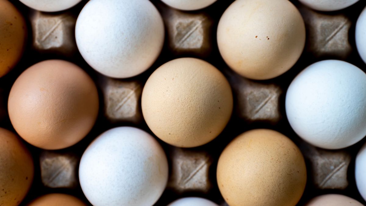 Jakie jajka kupować?