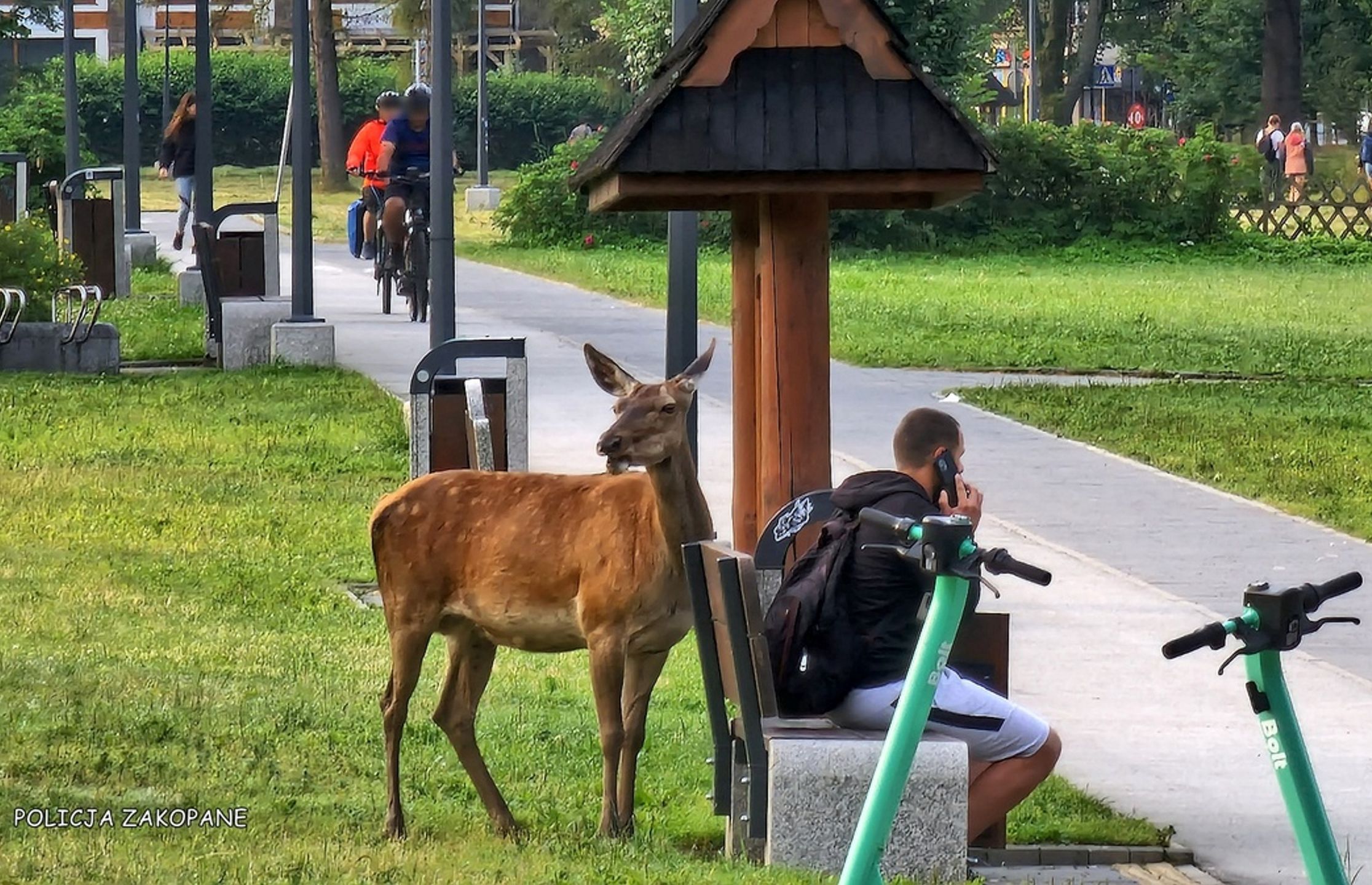 Zdjęcie ilustracyjne.
