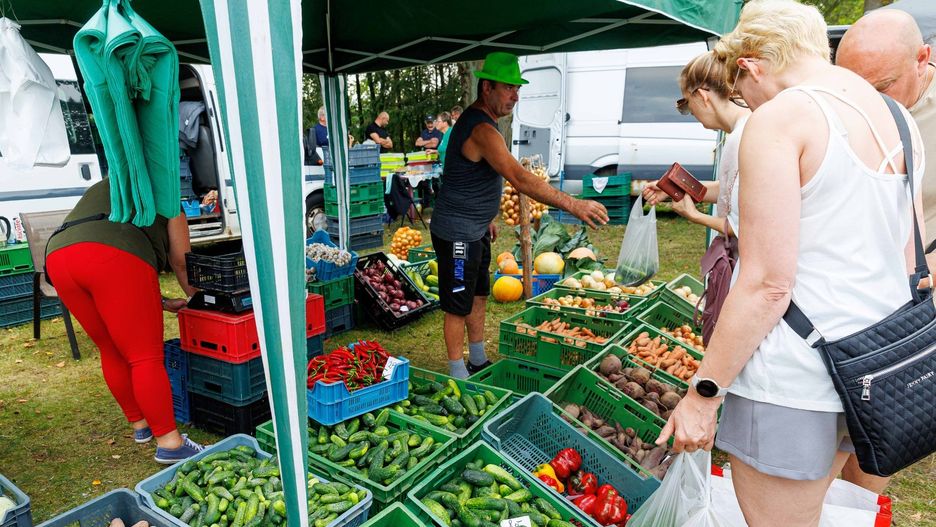 Ogólnopolski Dzień Ogórka w Kruszewie.