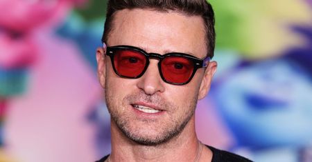Zdjęcie Justina Timberlake'a z aresztu trafiło do galerii sztuki. "Najbardziej współczesne dzieło"