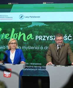 "Sprzątanie stajni Augiasza". Miotła w Lasach Państwowych