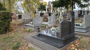 Szczecin: Cmentarz będzie miał swoją aplikację. Pomoże ona znaleźć groby bliskich