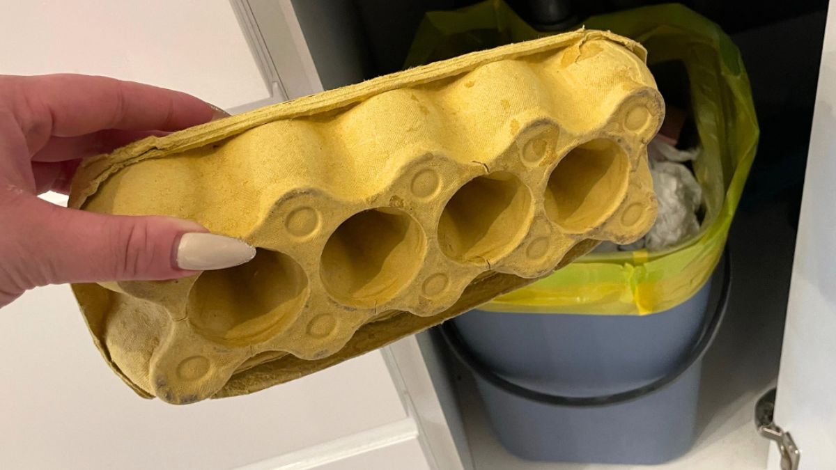 Gdzie wyrzucić opakowanie po jajkach?