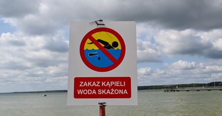 Woda zrobiła się zielona. Zamknięto cztery kąpieliska