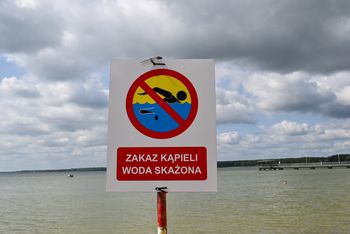 Woda zrobiła się zielona. Zamknięto cztery kąpieliska