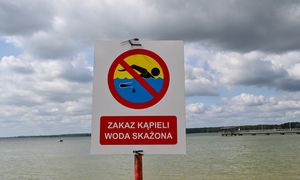 Woda zrobiła się zielona. Zamknięto cztery kąpieliska