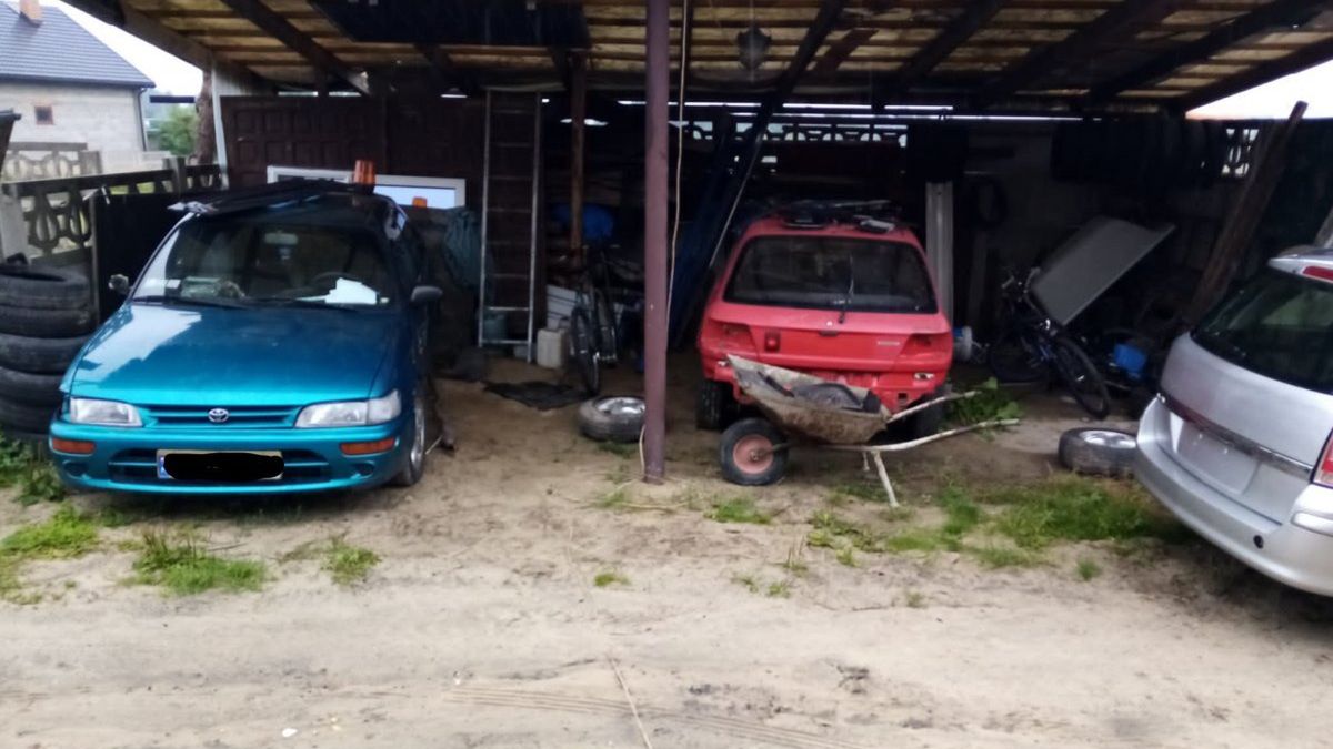 Dwaj bracia specjalizowali się w starszych modelach