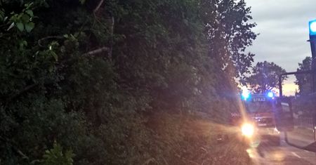 Burze na Śląsku. Grad jak kurze jaja, zniszczone auta, połamane drzewa. Setki interwencji