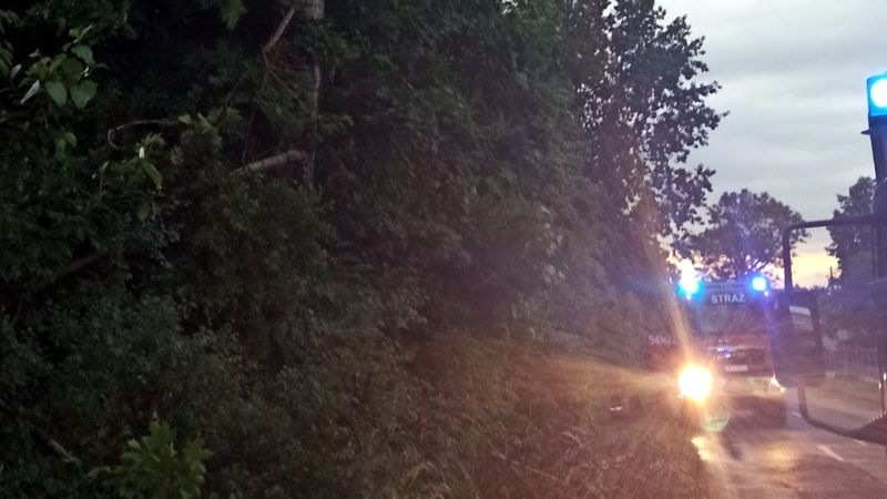 Śląskie. Uszkodzone drzewa, nieprzejezdne drogi to jedne ze skutków nawałnic, które przeszły nad woj. śląskim.