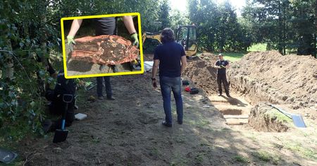 Niemcy tylko spojrzeli, co robią Polacy. "Dziękujemy"