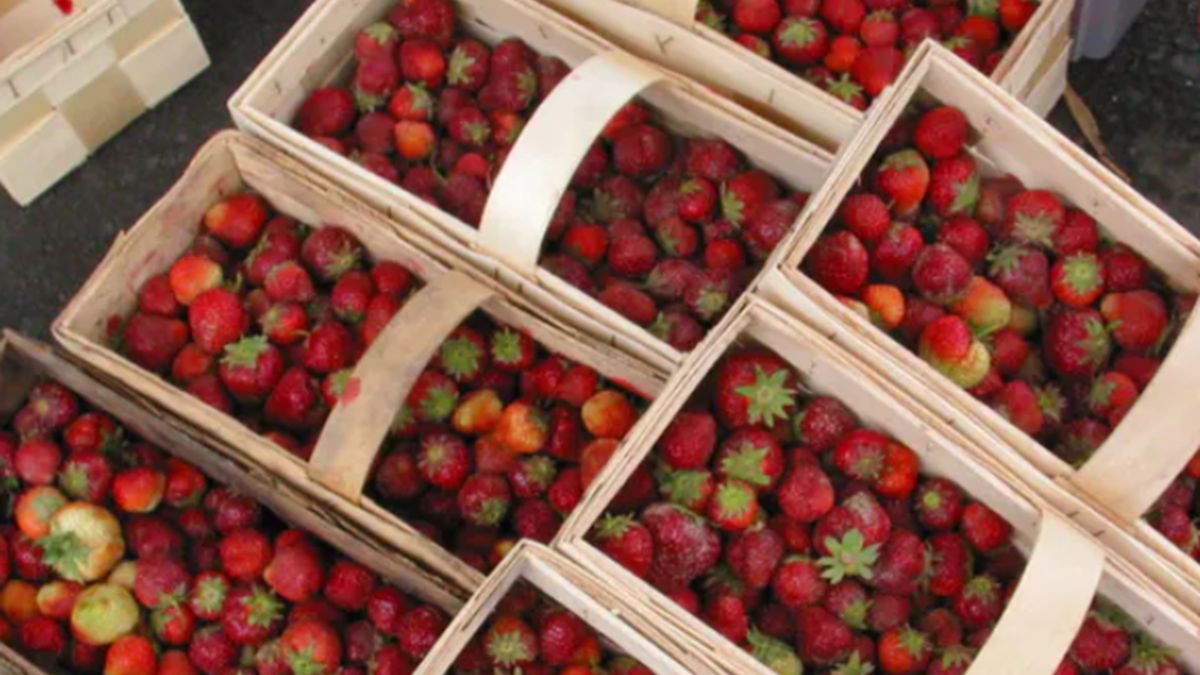 "Polskie" truskawki na bazarach.