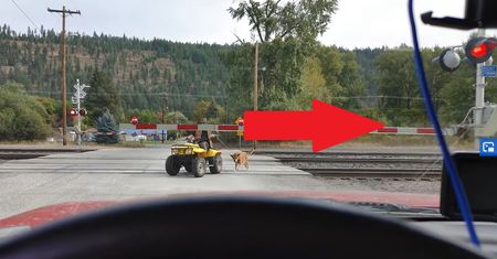 W taki sposób wyprowadził psa. Internauci są wściekli