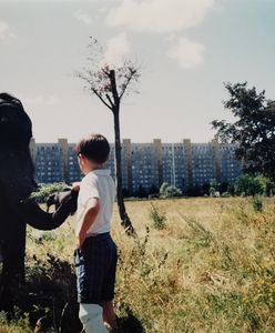 Gdańsk. Zrobił zdjęcie ze słoniem. Dziś byłoby to niemożliwe