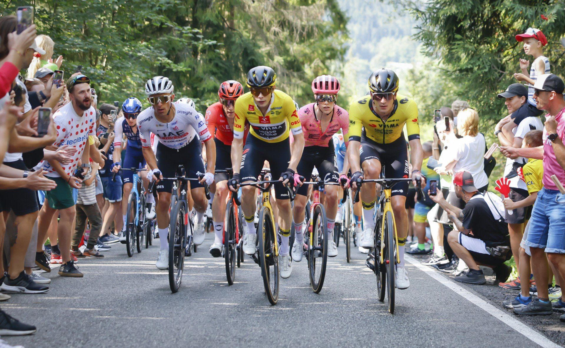 Tour de Pologne w Legnicy. Gdzie zobaczyć kolarzy? Tymi ulicami przejedzie peleton