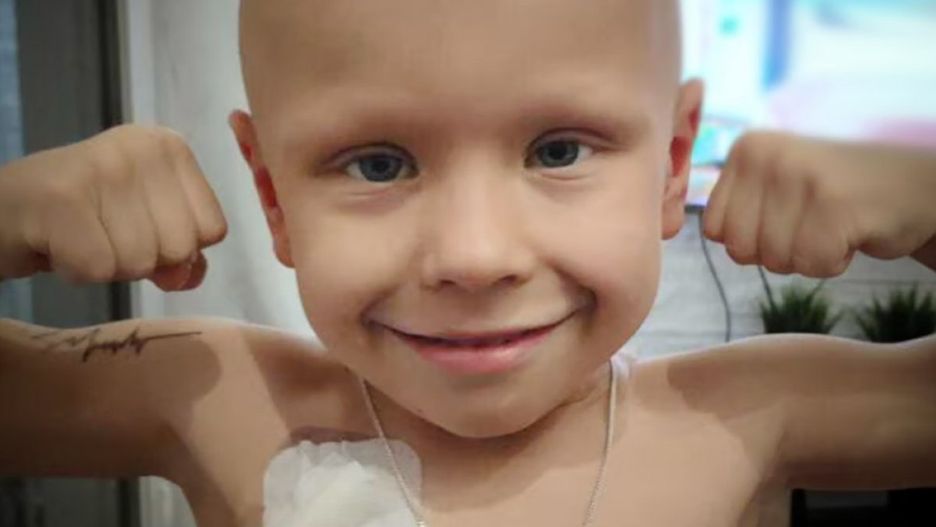 źródło: wola.policja.gov.pl