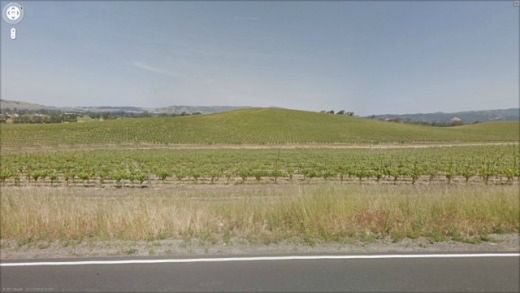 Skąd wzięła się standardowa tapeta Windowsa XP? 3