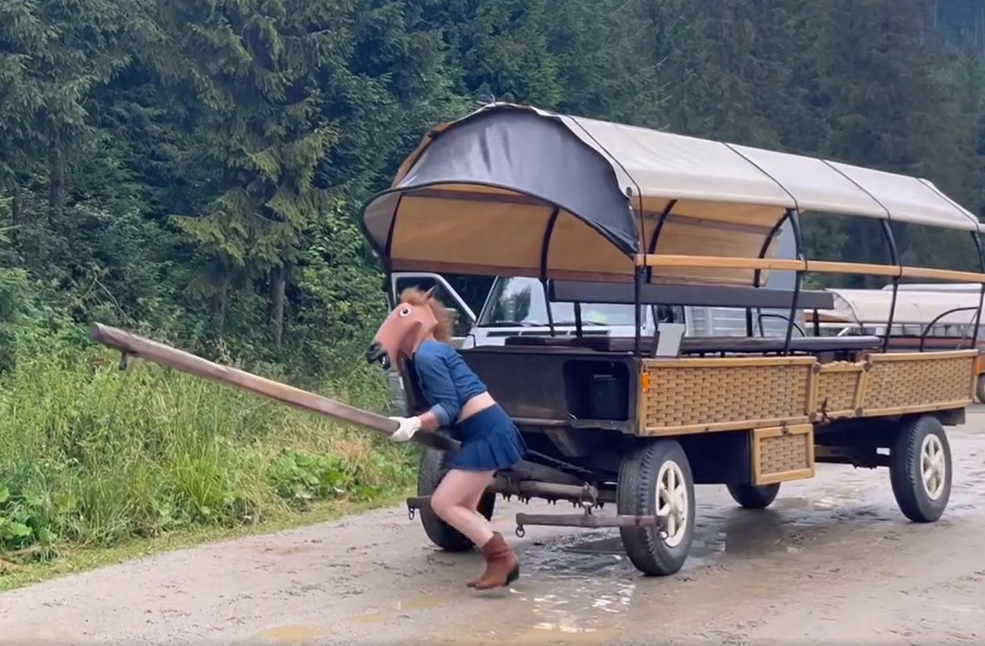 Kobieta wcieliła się w rolę konia. Nagranie niesie się po sieci