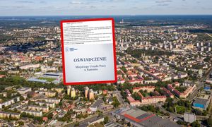 Skandal w urzędzie w Radomiu. "Nieakceptowalne". Dwa zwolnienia