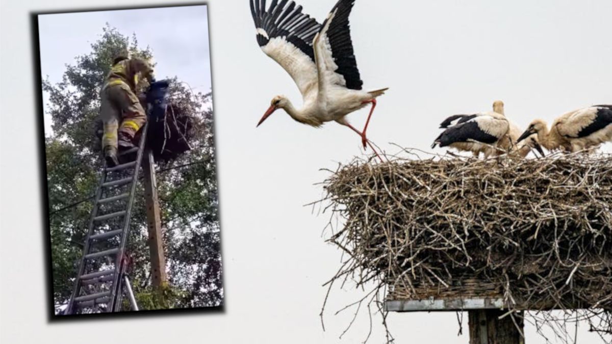 Uderzyła w słup energetyczny i odjechała.