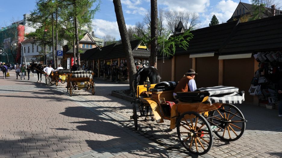 Zakopane AlMaPHOTO: ALBIN MARCINIAK / EAST NEWS Wiosna w Zakopanem, wakacje w Zakopanem, wypoczynek w Zakopanem, n/z dorozki na KrupowkachAlbin Marciniak 