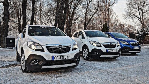 Zdjęcie ilustracyjne do artykułu