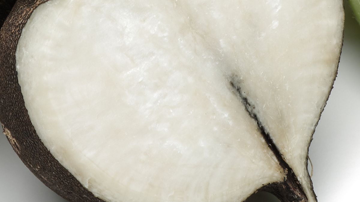 To jedno z najcenniejszych warzyw