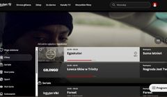 Powstaną kolejne darmowe kanały FAST po polsku