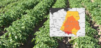 Ostrzeżenia IMGW dla rolników. Choroby masowo zagrożą roślinom