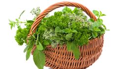 Zioła, które pomogą ci usunąć grzyby z organizmu. Sprawdź, gdzie je znaleźć 