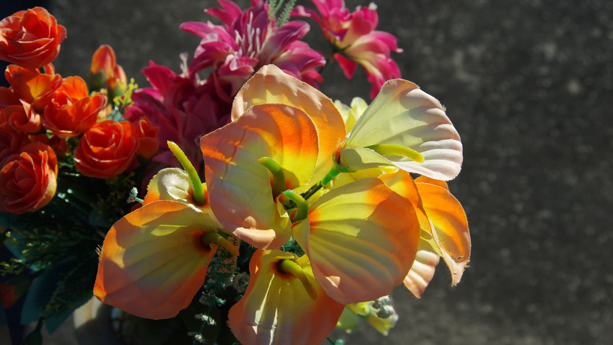 Jak wyczyścić sztuczne kwiaty?