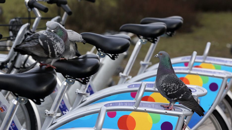 Niepewna przyszłość rowerów miejskich w Warszawie? Jest oświadczenie