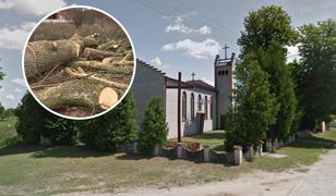 Ksiądz dostał 200 tys. złotych kary za wycięcie drzew. Teraz domaga się przeprosin