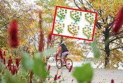 Do Polski dociera klin ciepła znad Maroka. Jeden dzień będzie wyjątkowy