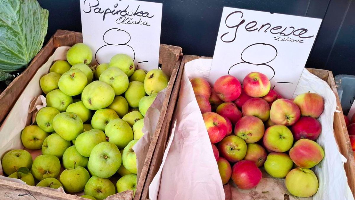 Wczesne jabłka są już na straganach