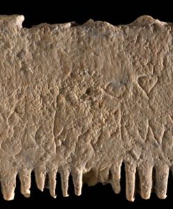 Rozszyfrowano najstarsze zdanie zapisane wczesnym alfabetem