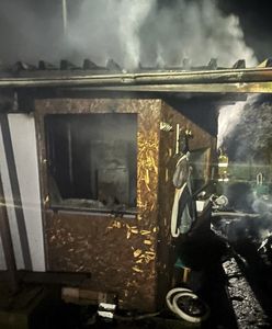 Tragiczny pożar w Gdańsku. Pokazali zdjęcia