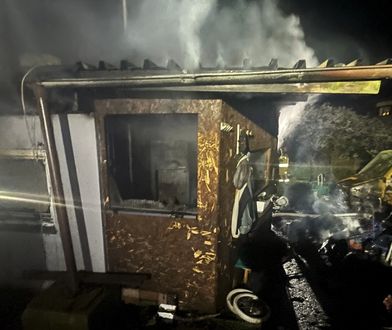 Tragiczny pożar w Gdańsku. Pokazali zdjęcia