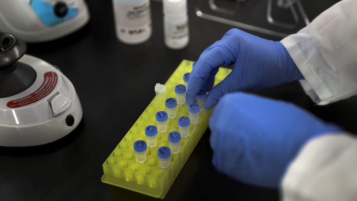 Boston, MA - December 8: Miriam Ramliden, PhD works with some DNA samples at Catalog. Boston startup Catalog is developing a DNA-based computer. (Photo by David L. Ryan/The Boston Globe via Getty Images)