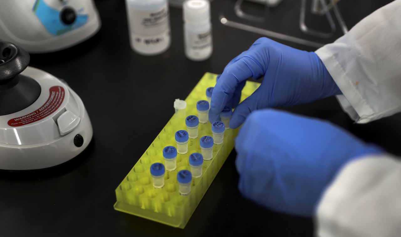Skąd się wzięło tajemnicze DNA? Mamy go ponad 20 proc.