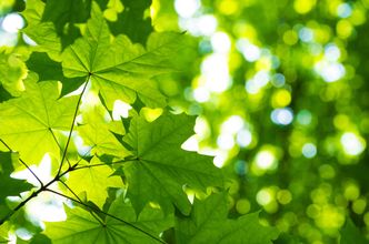 Jak dojść do neutralności klimatycznej w nowej rzeczywistości? Rozpoczyna się TOGETAIR 2022