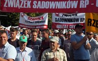 Protest sadownikw w Warszawie. "To walka o przetrwanie"