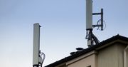 Telefony komórkowe wypalają mózgi. Przerażające wyniki badań!