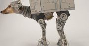 Przebrał psa za robota z "Gwiezdnych wojen"