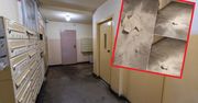 Sąsiedzi usłyszeli huk. Na klatce schodowej czekała "niespodzianka"