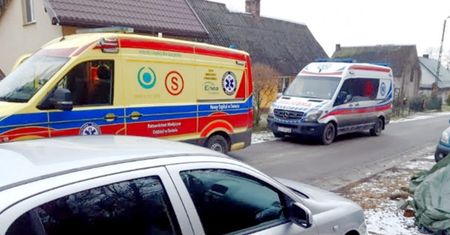 Psy myśliwskie zaatakowały spacerowiczów! "Rzucił się córce do gardła"