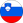 Reprezentacja Słowenii