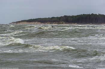 Akcja poszukiwawcza w Zatoce Gdańskiej. Podczas zawodów zaginął pływak